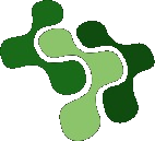 SalesDoc Logo